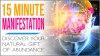 15 Minute Manifestation Personal Review – I’ve Buy & Tried it For 21 Days