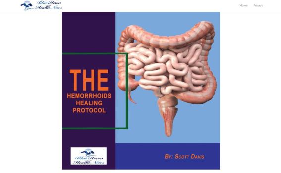 Title hemorrhoids healing protocol