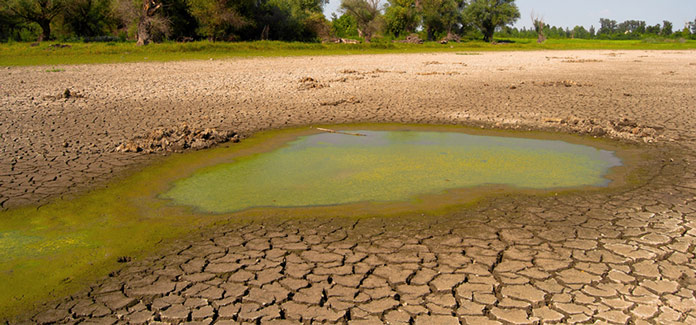 drought2