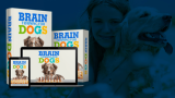 Brain Training For Dogs Review and My 4 Week Experiment (With Video)