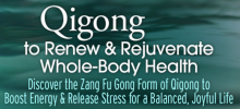 Zang Fu Gong by Daisy Lee Review – I Got Healthier After 2 Weeks?